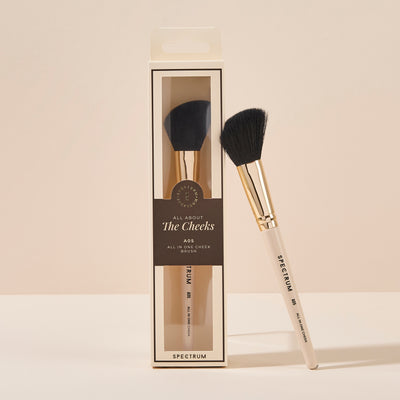 All About The Brush A05 "All in One Cheek" Brush