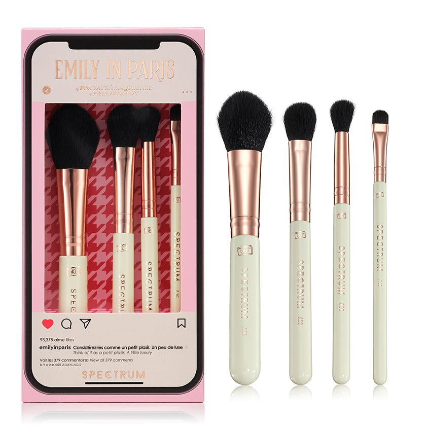 4 deals Piece Makeup Brush Set with Bag