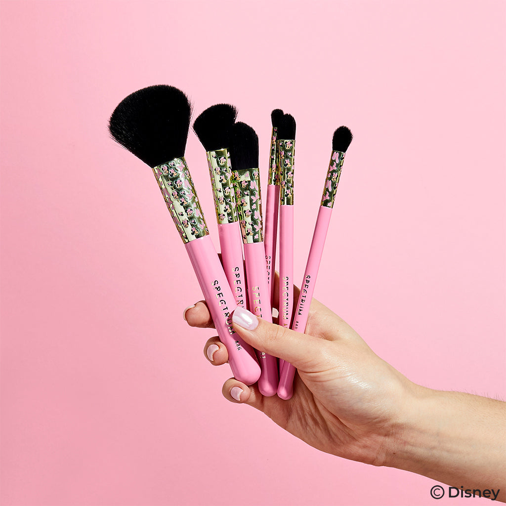 Sephora deals professional 6pc brush set